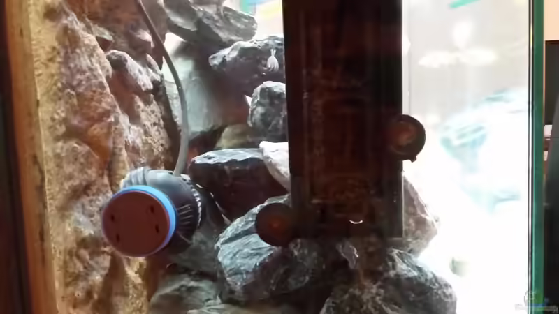 Nanostream 6015 und Fluval U4. Links im Becken von Andreas Musterfisch (14)