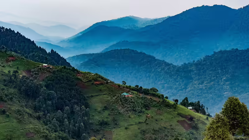 Nationalparks in Afrika - Ein tiefer Blick in die wilden Herzschläge eines Kontinents