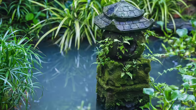 Natürlich schön, aber nicht immer harmlos: Was man über Giftstoffe aus Teichpflanzen wissen sollte