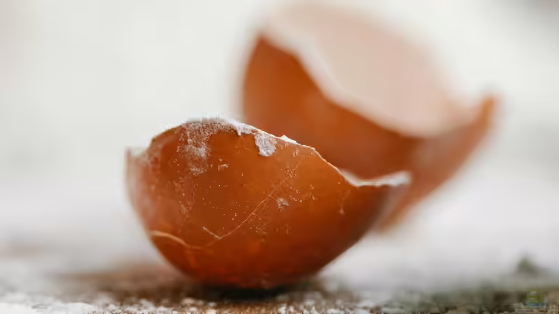 Natürlicher Dünger aus Hausmitteln für Zimmerpflanzen