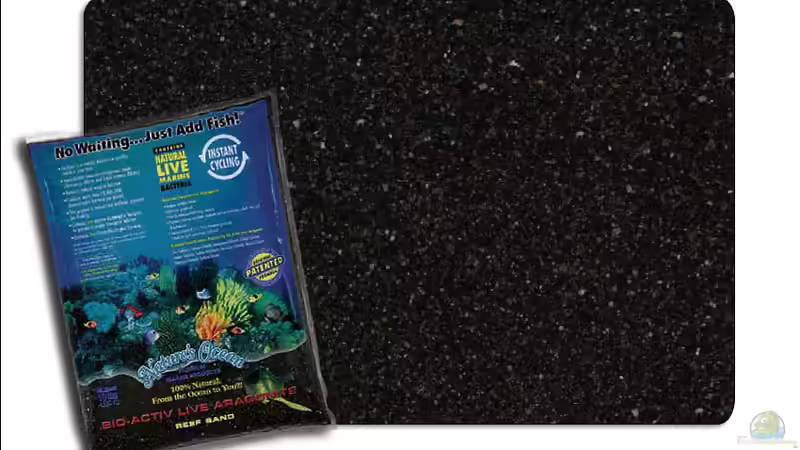 Natürlicher LiveSand von den Blick Islands von The_Lizardking (10)