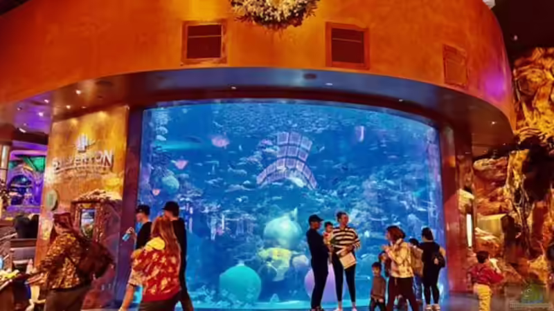 Natur-Elemente in Premium-Spielbanken - Mit diesen Ausstattungen kommt die besondere Atmosphäre zustande