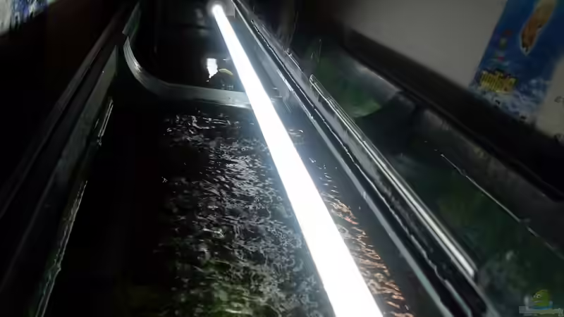 ´Natur´ von Markus Pisarek (5)