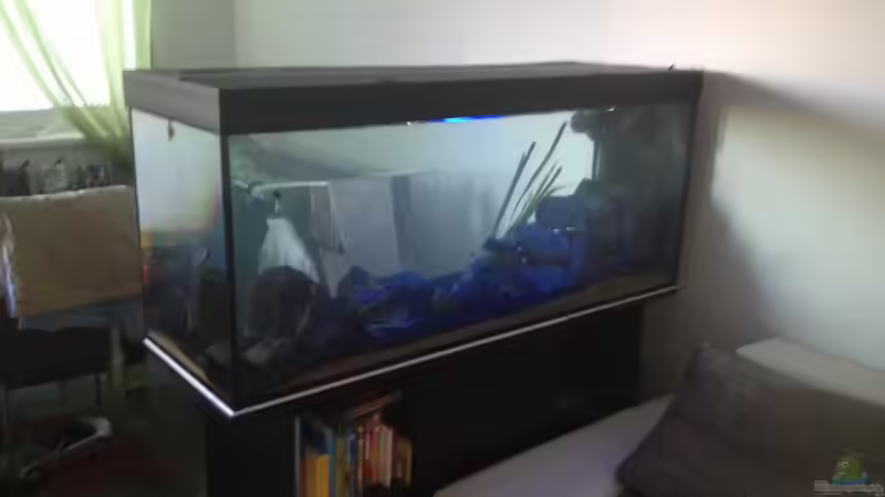 Naturbiotop im Haus ´der Steirer´! Vorne das Becken im Ganzem, dahinter der Wäscheständer:-)! von der Steirer (13)