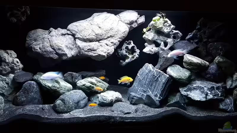 Nature Watching von Florian Karmann (1)