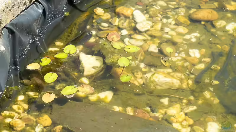 Naturnahe Lebensräume für Mensch und Tier