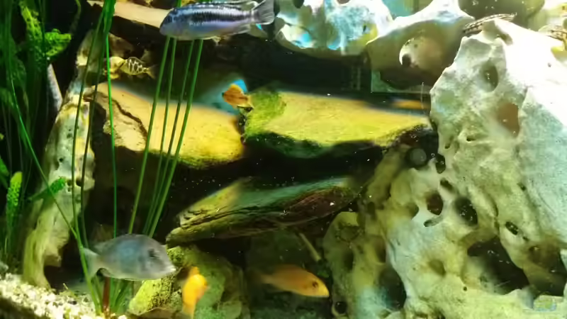 Naturstein-Platten  von Angelo Nardello (6)