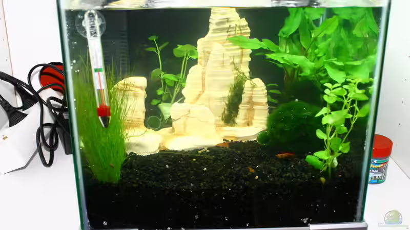 Navajo Rock als Zentrales Bild von tobsen (3)