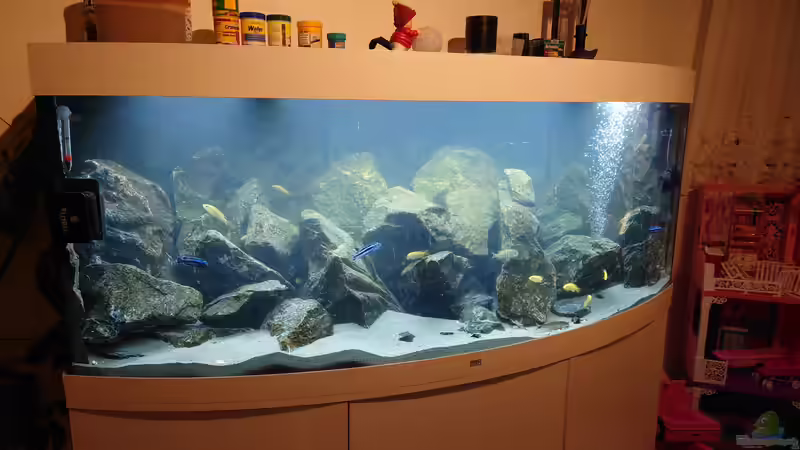 Nebel des Grauens nach Zugabe von Malawi Salz  von Stefan von Oettingen (4)