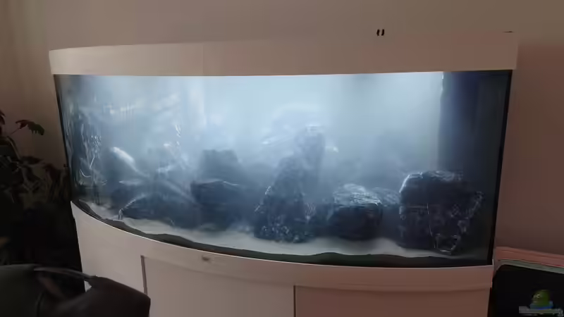 Nebel im Glaskasten von Stefan von Oettingen (12)