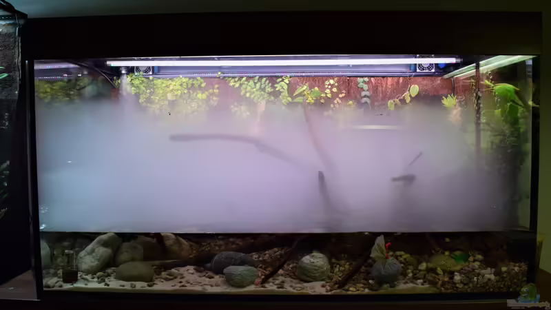 Nebler in Aktion von Junglist (36)