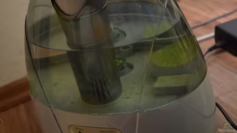 Nebler von Junglist (31)