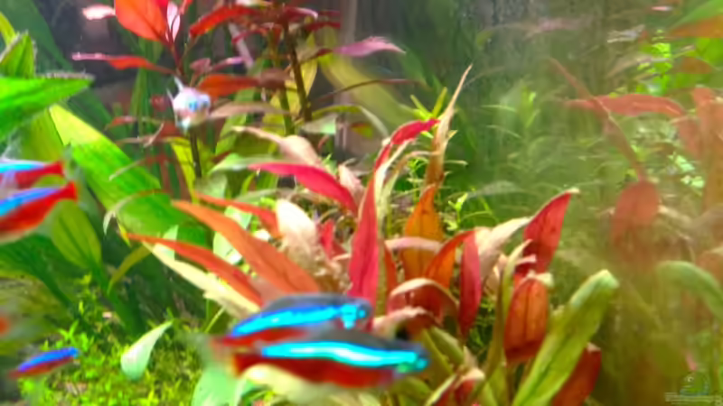 Neon von Michel (23)