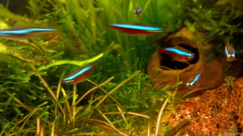 Neons?! :) von Marc Joist (17)