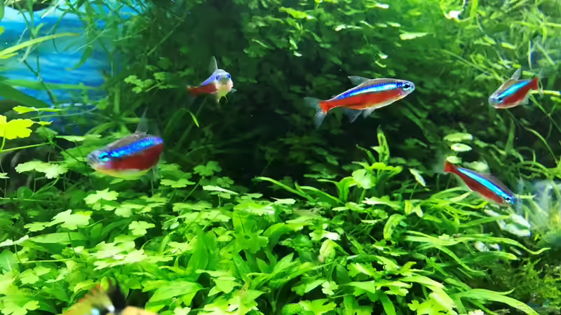 Neons 01.05.18 von Der Nicky (38)