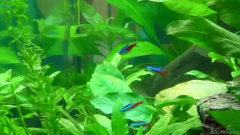 Neons durch Seitenfenster von Noreia (27)