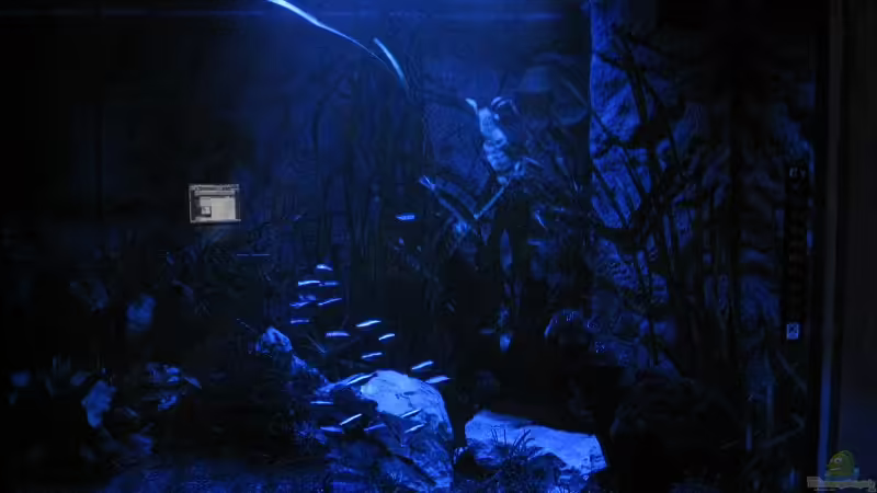 Neons im Nachtlicht von Sergio10 (30)