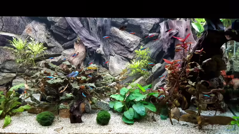 Neons und Co. von Eisbaer (20)