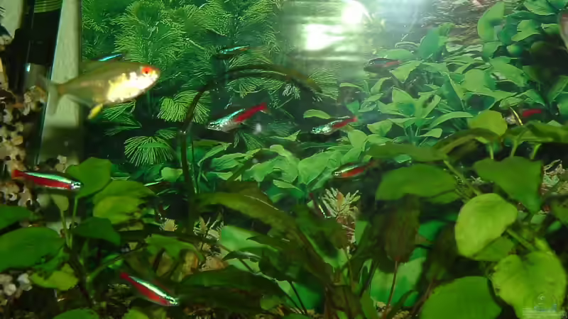 Neons von Jens Krause (7)