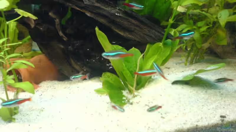 Neons von Markus Gura (17)