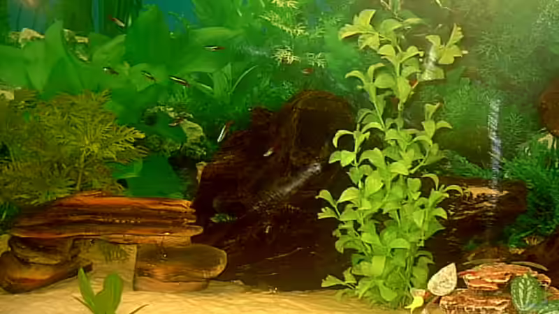 Neons von Robert Schröder (15)