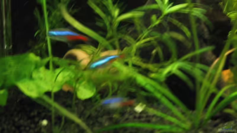 Neons von Sebastian Fischer (8)