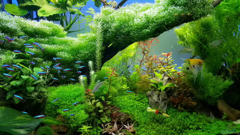 Neons von Sebastian Hartmann (118)