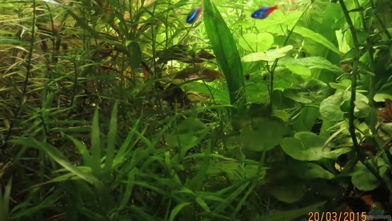 Neons von SimonHB (14)