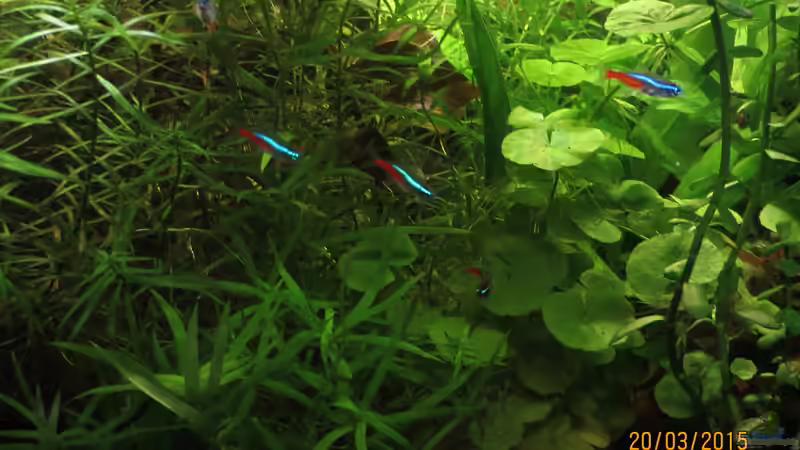 Neons von SimonHB (2)