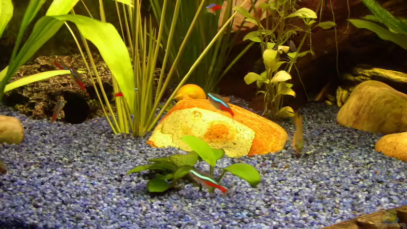 Neons von Stonedman (18)