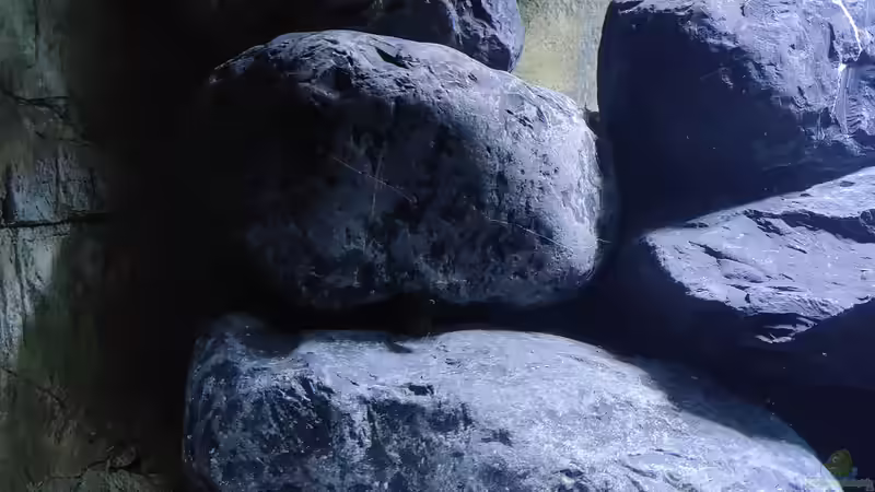 Nero Ebano Fels von LEDaquaristik.de (9)