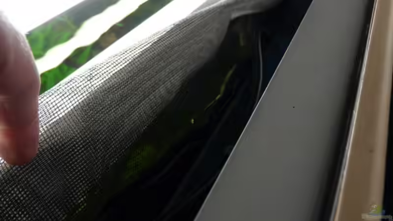 Netz gegen Garnelenausbruch auf der 3D Rückwand von Zewana (17)