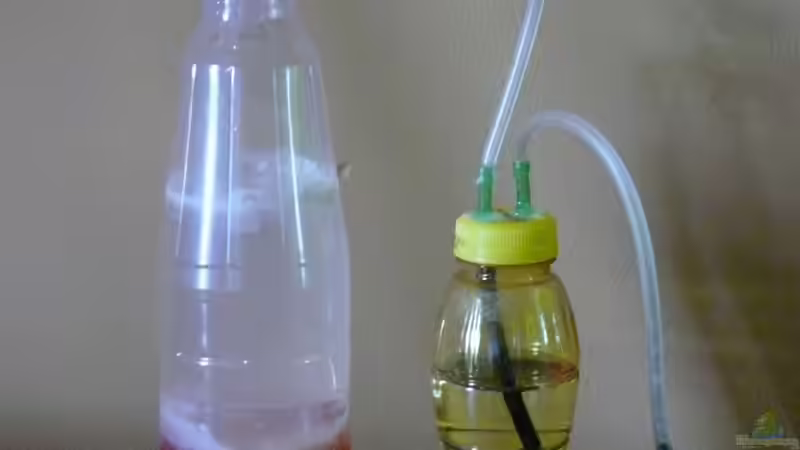 neu: Bio-Co2 von Der kleine Delfin (12)