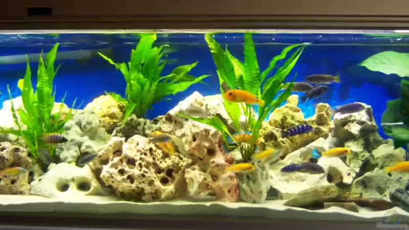 Neu  von 47 Malawi (3)