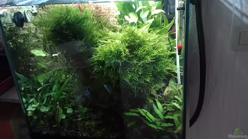 neu, vorne, ??bergang von El Hein (29)