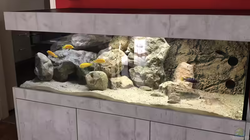 Neu 1 von Charmin (13)