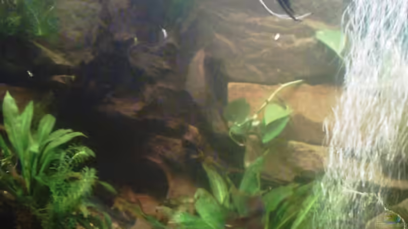 Neu 2  von Clippi (4)