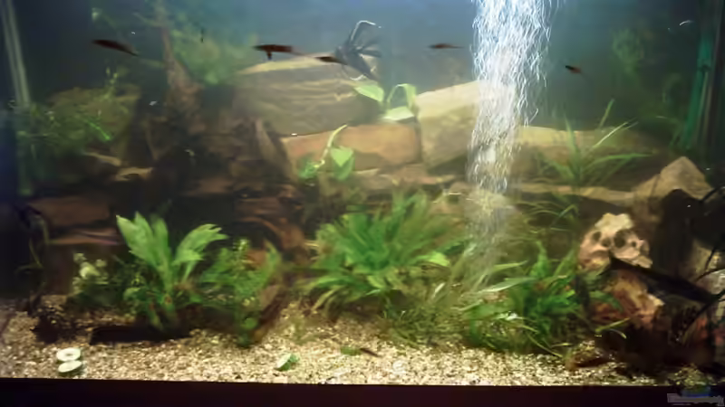 neu 3 von Clippi (5)