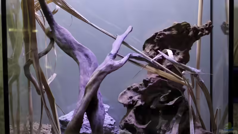 Neu angerichtet von Falk (1)