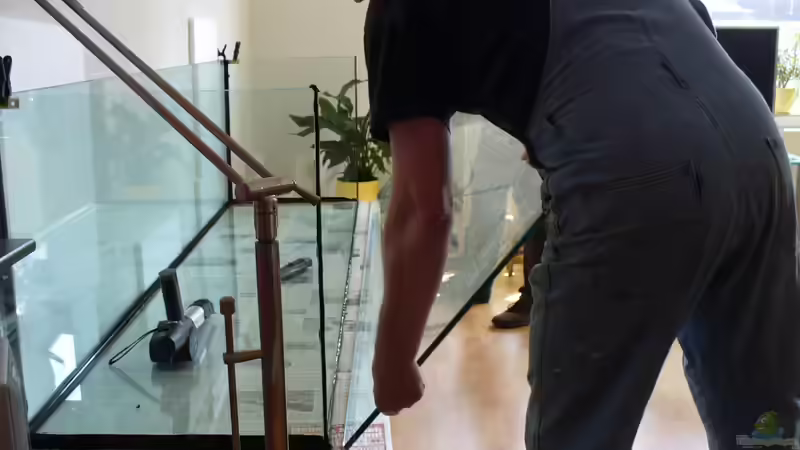 ´Neu´-Bau 2008 von Blackwater (2)