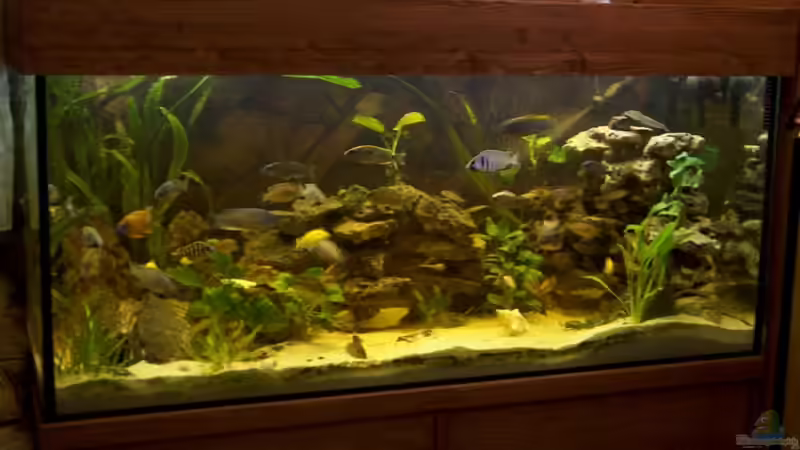 neu bepflanztes aktuelles Bild von Monika Thiele (7)