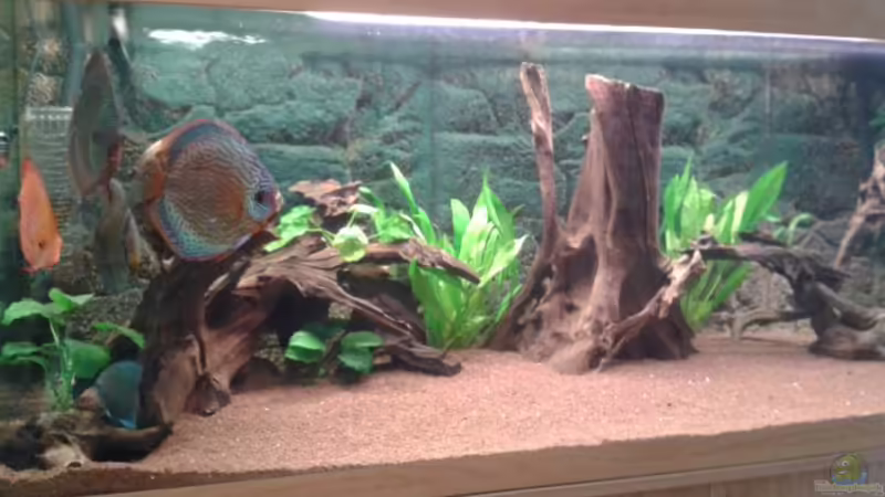 Neu eingerichtet  von Don Jupp (1)