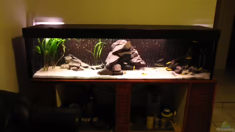 Neu eingerichtet !! von Haens84 (4)