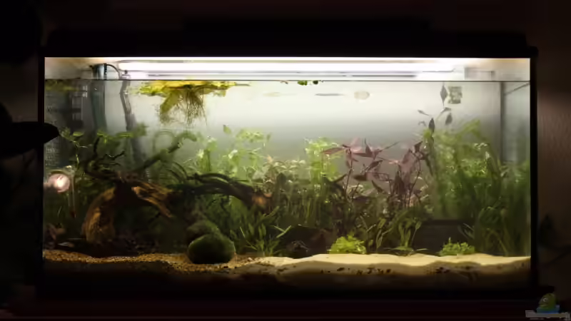 neu eingerichtet am 16.09.09