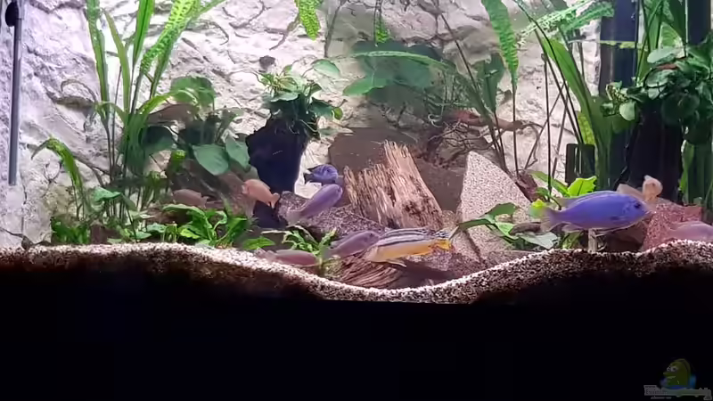 Neu eingerichtet April 2017 von Marcus Mischer (1)