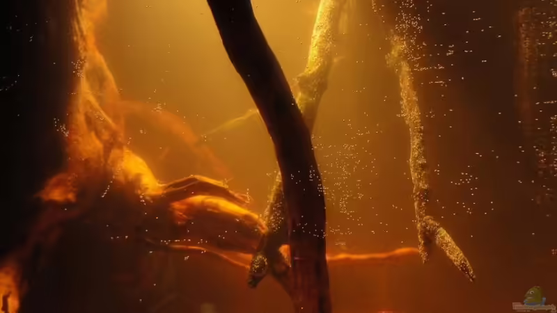 neu eingerichtet von Laura (13)