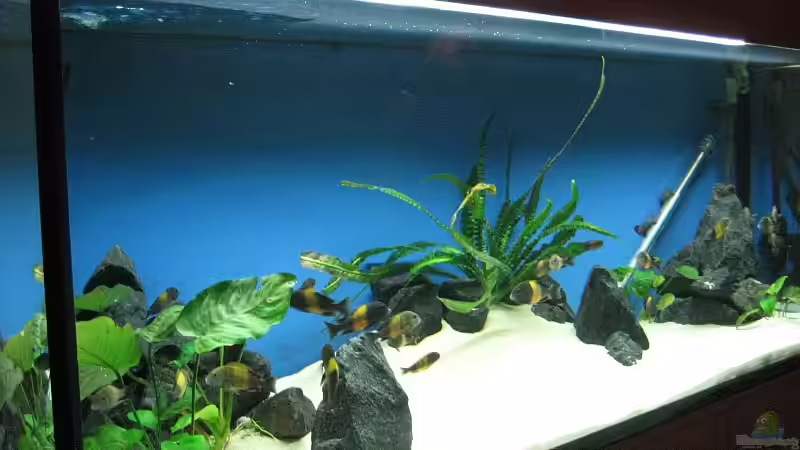 neu eingerichtet von Sebastian Klappert (3)