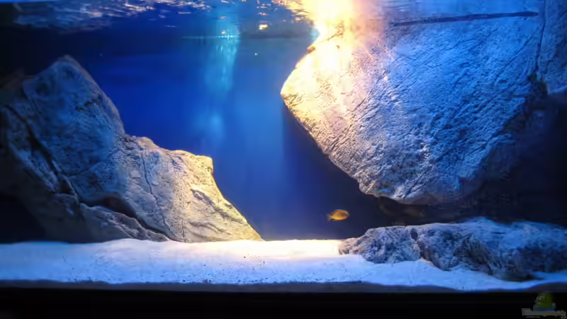 Neu eingerichtet von Simmal (2)