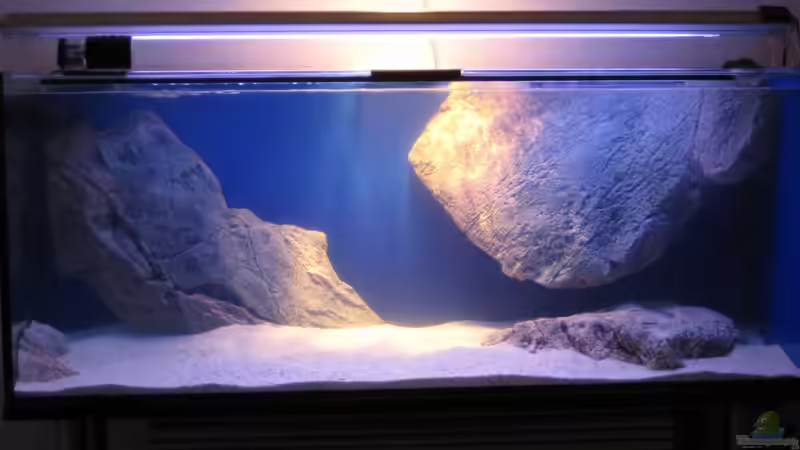 Neu eingerichtet von Simmal (4)