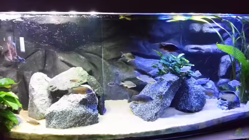 Neu eingerichtet von Udo Lehr (6)